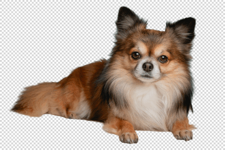 切り抜いてアップロード